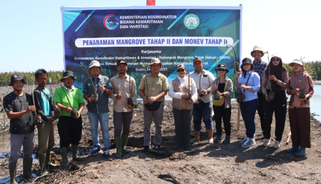 Tingkat Hidup Capai 90%, GAPKI Bersama Kemenko Marves Lanjutkan Program Penanaman Mangrove di Kumai